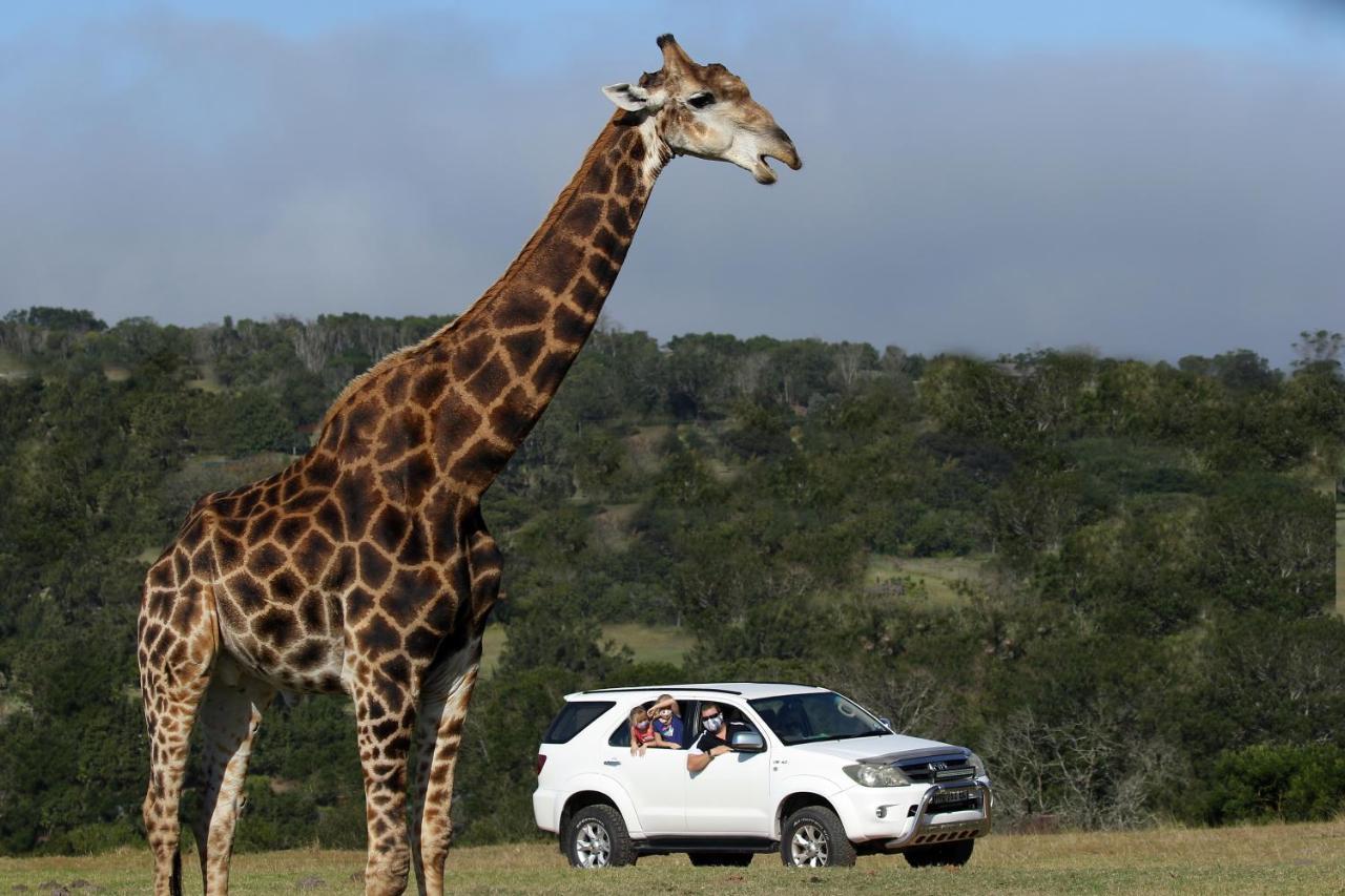 Kragga Kamma Game Park Villa Port Elizabeth Kültér fotó